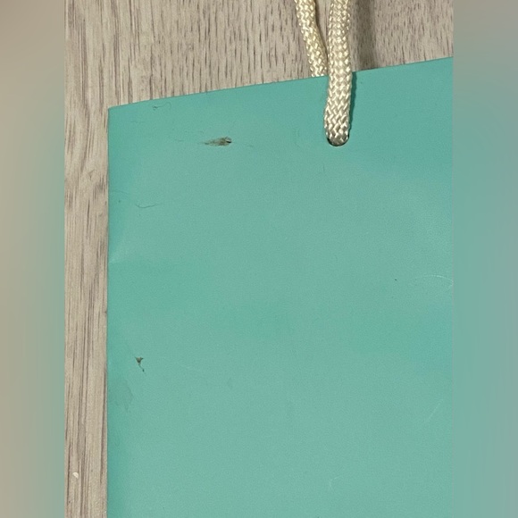 TIFFANY & CO.🩵EMPTY PAPER SHOPPING GIFT BAG 10”x8”x4” ~In great condition - Picture 3 of 6